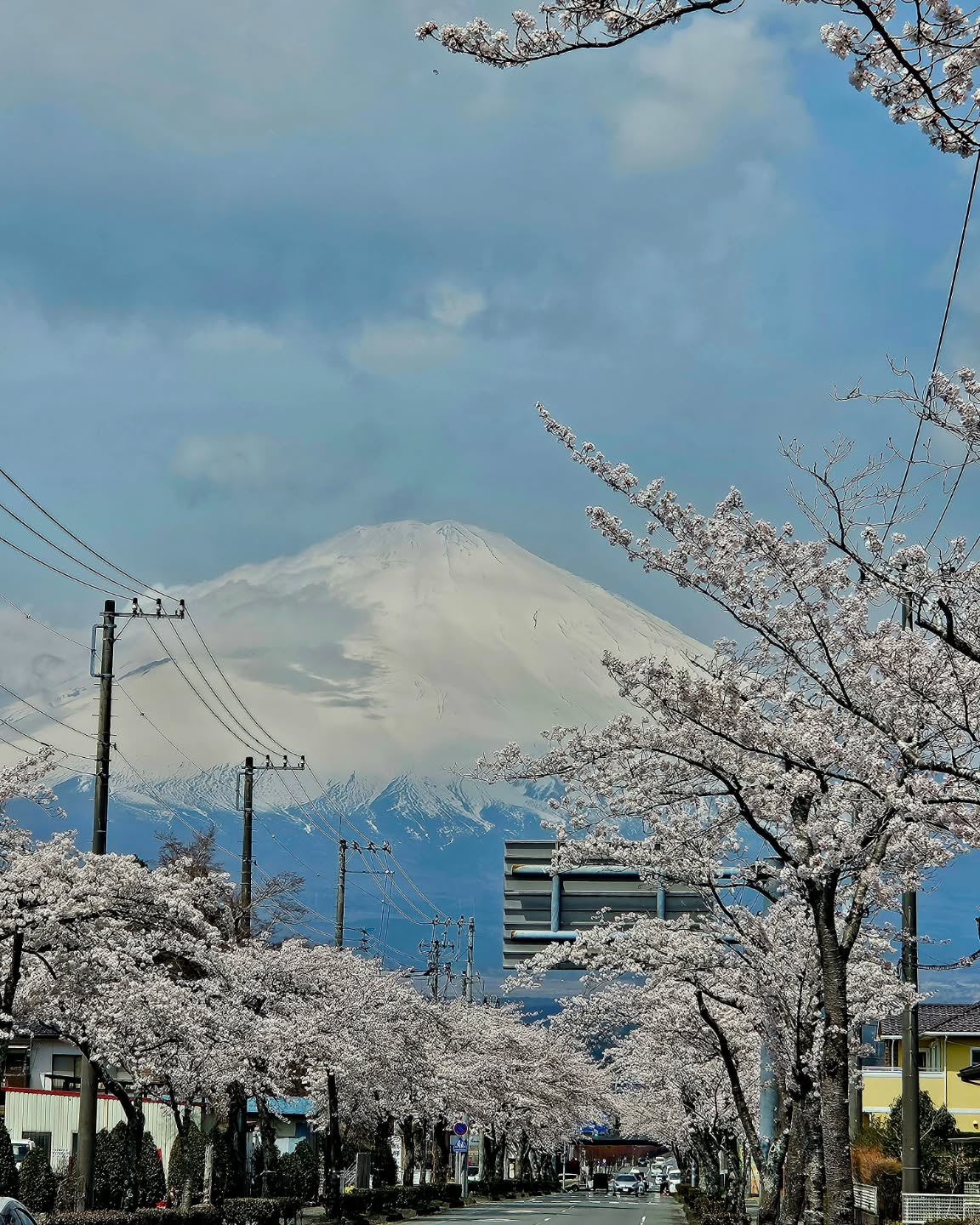 目黒川も良いですが、御殿場の桜も見事です。賃貸ガレージハウスに住まい、満開の桜と富士山を愛でる生活はいかがでしょうか。.#賃貸ガレージハウス#レンタルガレージハウス#ガレージライフ#御殿場ガレージハウス#小山町ガレージハウス#富士スピードウェイ#mirage#Le Mirage#garagelife#garagehouse#FISCO